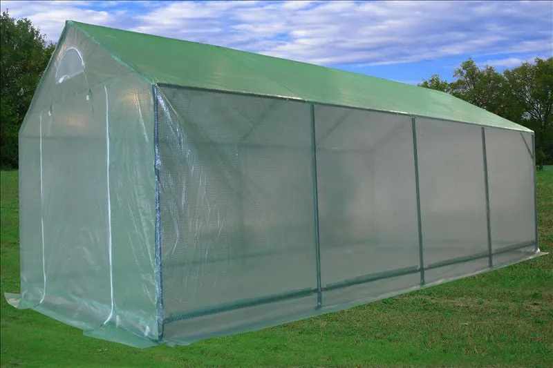 Walk-in Greenhouse 20'x10' - Triangle Top